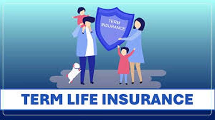 Term Insurance